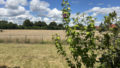 Ausblick Terrasse