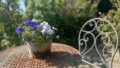 Impressionen Garten