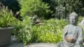 Impressionen Garten