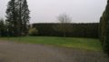 Foto Garten